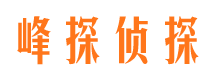 汤阴出轨调查